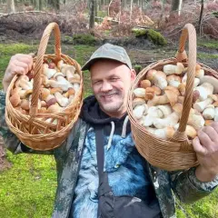 Gdzie na grzyby w Świętokrzyskiem? Sprawdzone miejsca i porady!