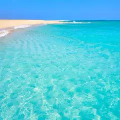 Gdzie leży Fuerteventura? Hiszpański raj na Atlantyku