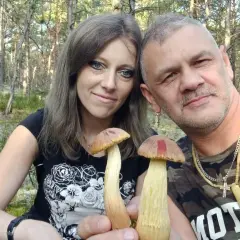Świętokrzyskie: Gdzie na grzyby? TOP miejscówki i sekrety udanych zbiorów!