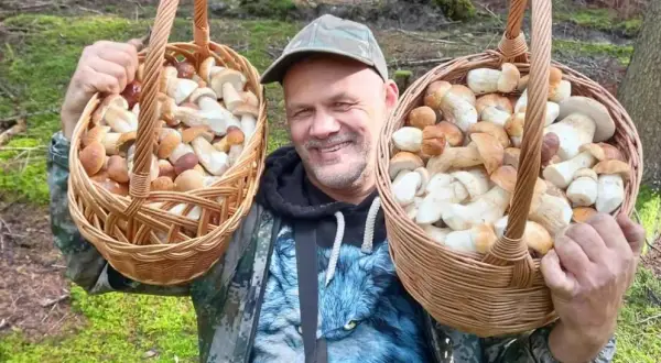 Gdzie na grzyby w Świętokrzyskiem? Sprawdzone miejsca i porady!