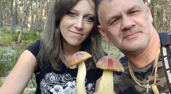 Świętokrzyskie: Gdzie na grzyby? TOP miejscówki i sekrety udanych zbiorów!