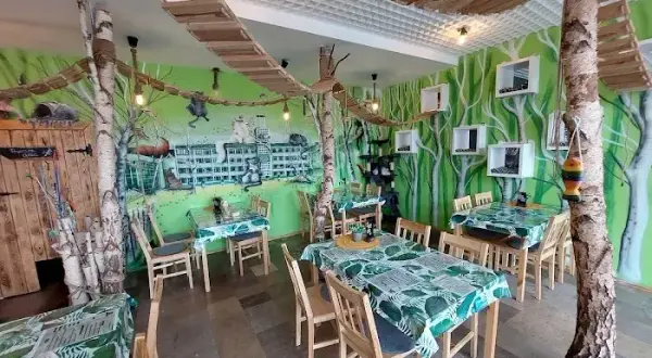 Koszalin: Gdzie zjeść? Najlepsze restauracje na każdą okazję!